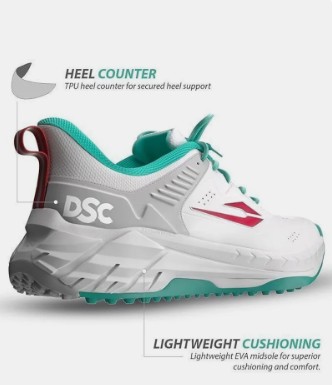 DSC Endgame Cricket Shoes for Mens, Size - 9, Color - SGMR26